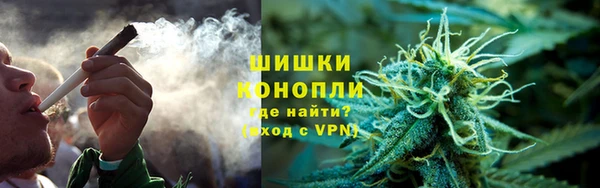 ешки Белокуриха